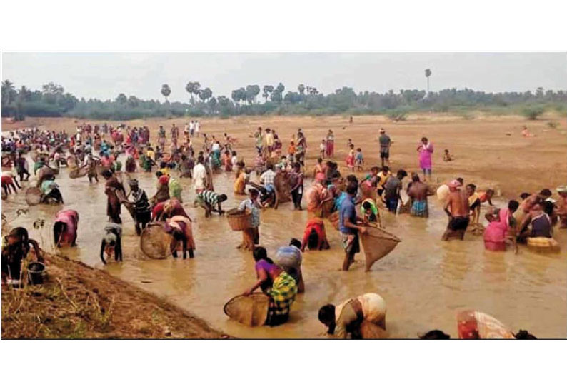 சிங்கம்புணரி அருகே மீன்பிடி திருவிழா கிராமம் முழுவதும் மீன்வாசனை