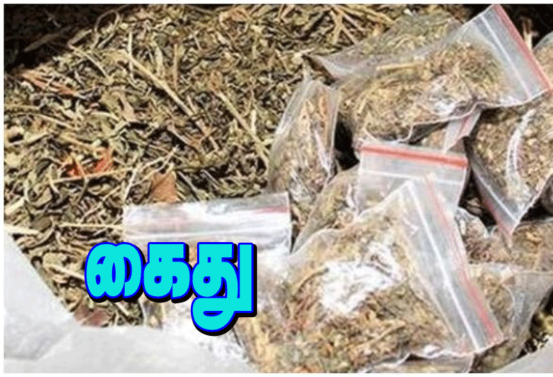 ஆந்திராவில் இருந்து காட்பாடிக்கு 44 கிலோ கஞ்சா கடத்திய தொழிலாளி கைது தேனி மாவட்டத்தை சேர்ந்தவர்