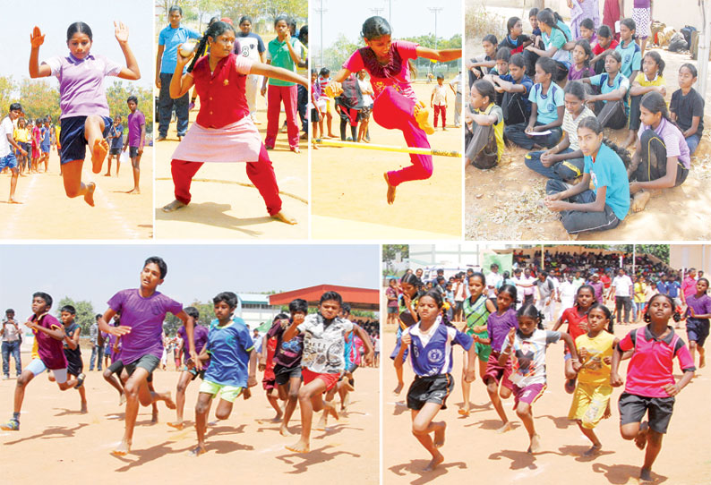 திருச்சி மண்டல அளவில் பள்ளி மாணவர்களுக்கான தடகள போட்டிகள் பெரம்பலூரில் நடந்தது