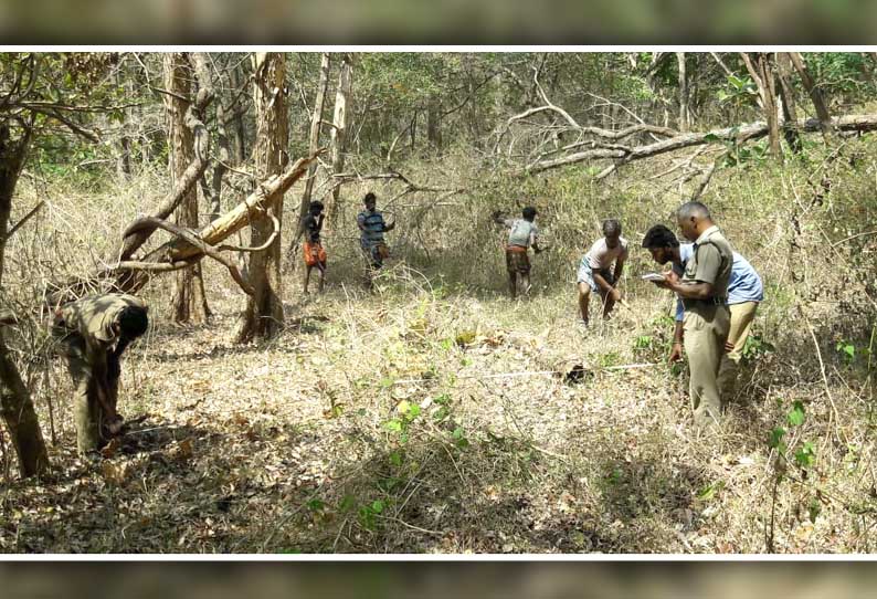 கோவை கோட்ட வனப்பகுதியில், காட்டுத்தீ பரவுவதை தடுக்க 40 கி.மீ. தூரத்துக்கு தீத்தடுப்பு கோடுகள்