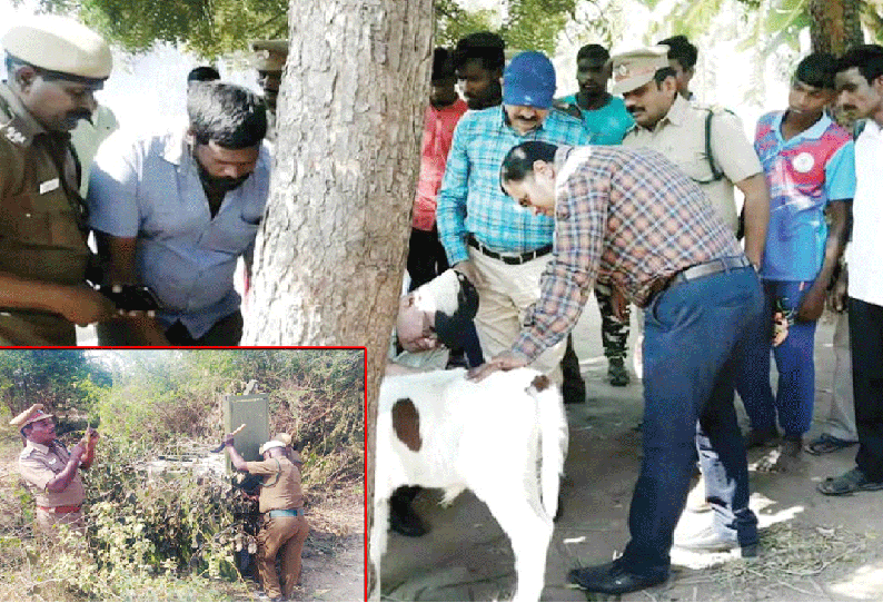 வாணியம்பாடி பகுதியில் சுற்றித் திரியும் சிறுத்தையை மயக்க ஊசி செலுத்தி பிடிக்க உத்தரவு வனத்துறையினர் 5 குழுவாக பிரிந்து தேடுகின்றனர்