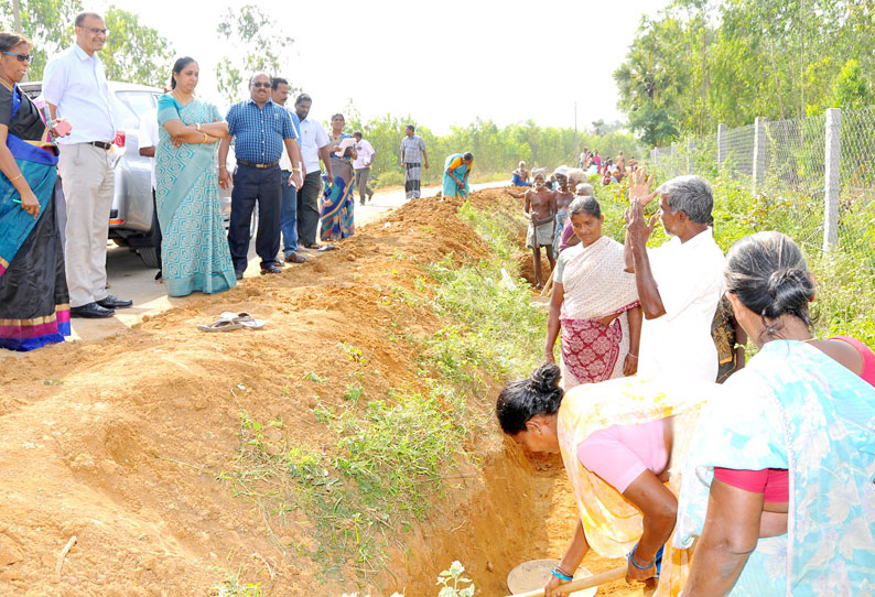 செங்கனேரி-வரத்து வாய்க்கால் தூர்வாரும் பணி கண்காணிப்பு அதிகாரி, கலெக்டர் பார்வையிட்டனர்