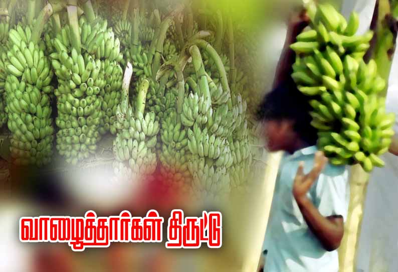 கூடலூர் அருகே, தோட்டங்களில் புகுந்து வாழைத்தார்களை திருடும் கும்பல்