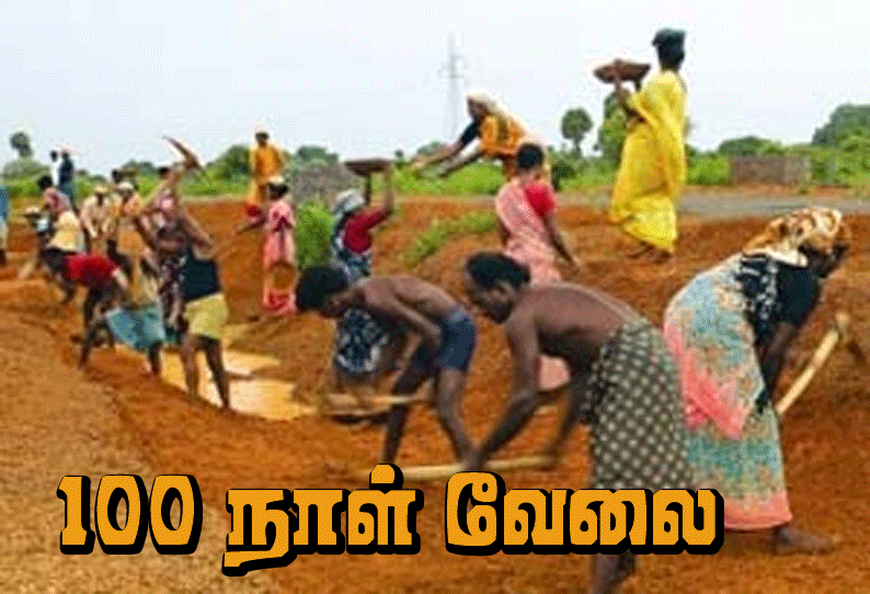 100 நாள் வேலை திட்டத்தை விவசாயத்துக்கு மட்டுமே பயன்படுத்த வேண்டும் விவசாய சங்க தலைவர் அரசுக்கு வலியுறுத்தல்