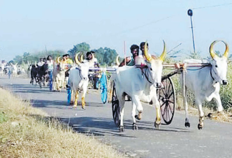 விளாத்திகுளம் அருகே மாட்டு வண்டி போட்டி