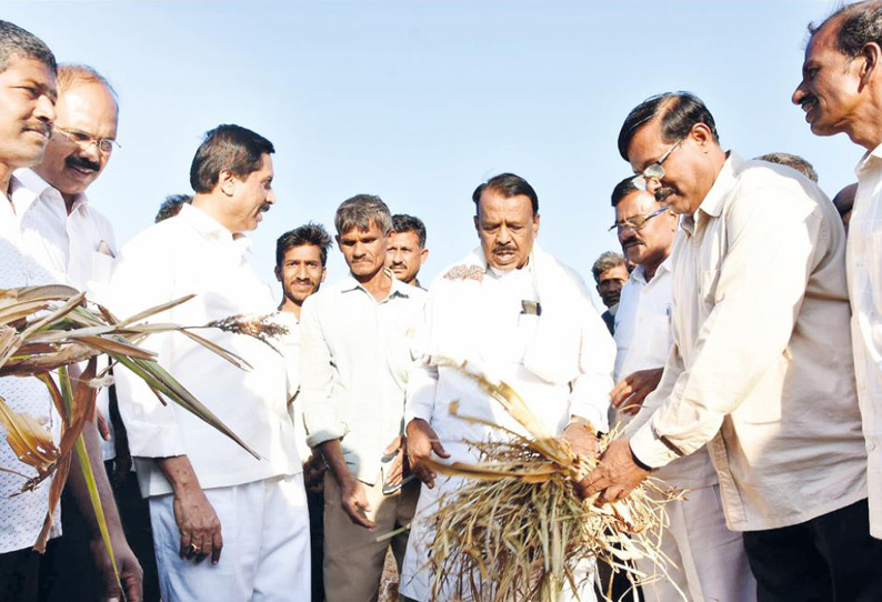 கோலார், சிக்பள்ளாப்பூர் மாவட்டங்களில் வறட்சி பாதித்த பகுதிகளில் மந்திரிகள் குழுவினர் ஆய்வு