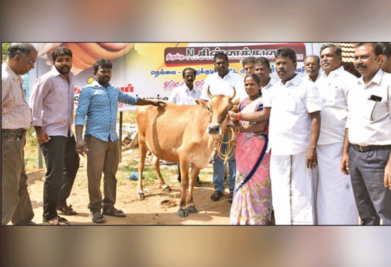 ஜெயலலிதா பிறந்தநாளையொட்டி 7,100 கறவை மாடுகள் வழங்க திட்டம் ஆவின் தலைவர் என்.சின்னத்துரை தகவல்