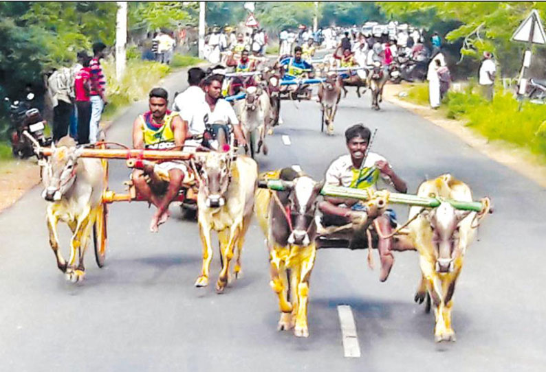 திருக்கடையூரில் மாடு-குதிரை வண்டி பந்தயம் ஏராளமான பொதுமக்கள் கண்டுகளித்தனர்