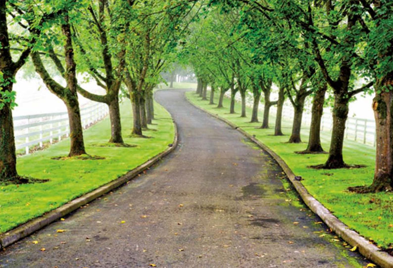 201901201037174414_Tree-is-a-boon_SECVPF