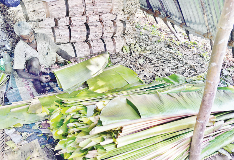 சிற்றுண்டி, ஓட்டல்களில் பயன்பாடு அதிகரிப்பு: பிளாஸ்டிக் பொருட்களுக்கு தடையால் வாழை இலைகளுக்கு கடும் தட்டுப்பாடு