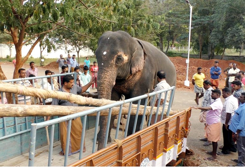 மேட்டுப்பாளையம் நலவாழ்வு முகாமில் இருந்து யானை பிருக்ருதி திருநள்ளாறு புறப்பட்டது