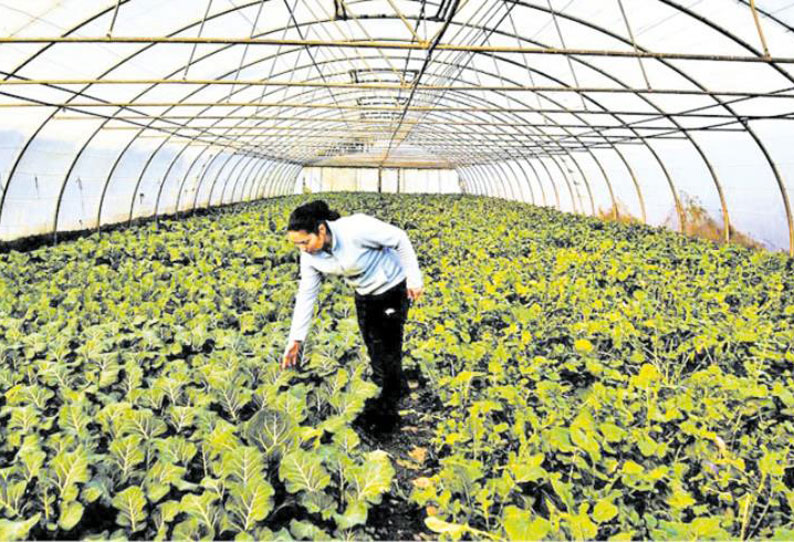 வேளாண் தொழில் மேலாண்மை டிப்ளமோ படிப்பு : மாணவர் சேர்க்கைக்கு விண்ணப்பிக்கலாம்