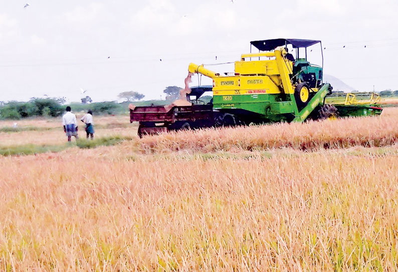 நுகர்பொருள் வாணிப கழகத்தால் நேரடி நெல் கொள்முதல் கலெக்டர் தகவல்