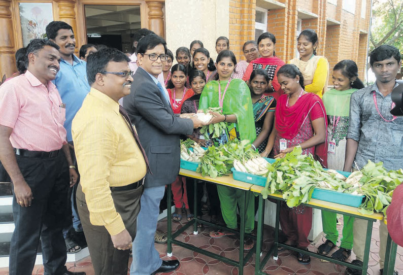 நெல்லை பல்கலைக்கழக வளாகத்தில் இயற்கை முறையில் விவசாயம் செய்யும் மாணவர்கள் முள்ளங்கி அறுவடை செய்து விற்பனை