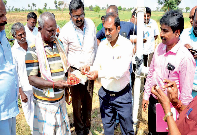 காந்த விசை கருவியால் விளைநிலங்களில் உவர்ப்பு நீரை மாற்றி மகசூலை அதிகரிக்கலாம் கலெக்டர் தகவல்