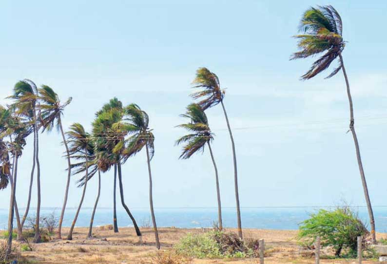 மண்டபம் பகுதியில் சூறாவளி காற்றுடன் கடல் கொந்தளிப்பு; மீனவர்கள் கடலுக்கு செல்லவில்லை