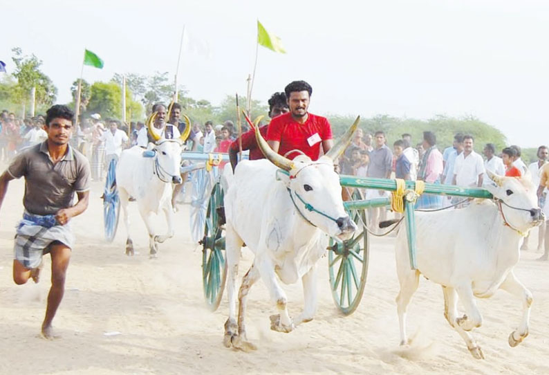 அறந்தாங்கி அருகே குதிரை, மாட்டு வண்டி பந்தயம்