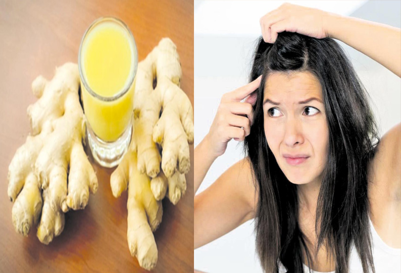 Ginger juice for dandruff பொடுகுக்கு இஞ்சிச்சாறு