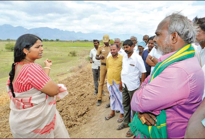 சங்கரன்கோவில், வாசுதேவநல்லூர் பகுதிகளில் குடிமராமத்து பணிகளை கலெக்டர் ஷில்பா ஆய்வு