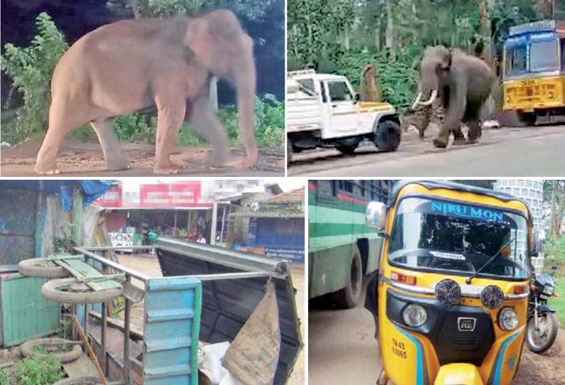 கூடலூரில் காட்டுயானைகள் அட்டகாசம் - தப்பி ஓடிய 2 பேர் கீழே விழுந்து படுகாயம்