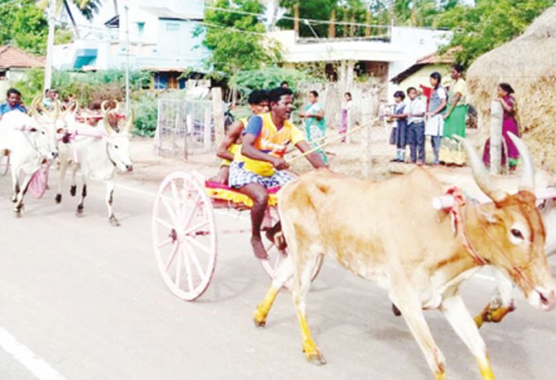 ஆவுடையார்கோவில் அருகே கோவில் விழாவை முன்னிட்டு மாட்டுவண்டி பந்தயம்