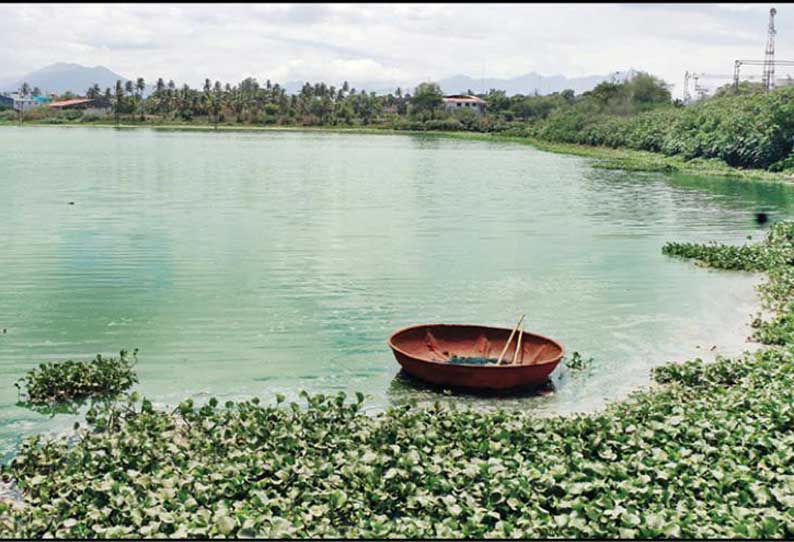 கழிவுநீர் அதிகமாக கலப்பதால் பச்சை நிறமாக மாறிய வாலாங்குளம் தண்ணீர் துர்நாற்றம் வீசுவதால் பொதுமக்கள் அவதி