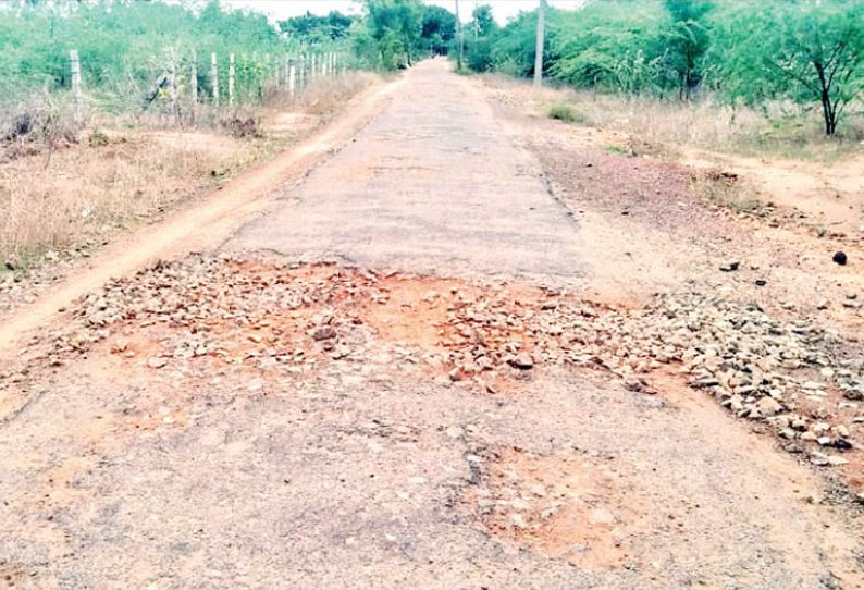 தஞ்சை அருகே ஏகவுரியம்மன் கோவில் சாலை சீரமைக்கப்படுமா? கிராம மக்கள் எதிர்பார்ப்பு