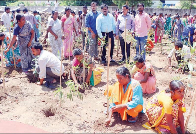 ஆயிரம் மரக்கன்றுகள் நட்டு “நகருக்குள் வனம்”அமைக்கும் பணி - கலெக்டர் ராமன் தொடங்கி வைத்தார்