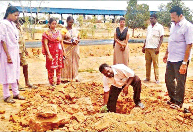 மானாமதுரை பேரூராட்சி பகுதியில் மரக்கன்றுகள் நட்டு பராமரிக்கும் பணி