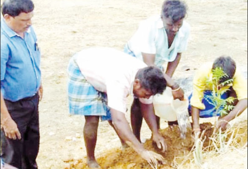 குளித்தலை பகுதியில் குளங்கள் தூர்வாரும் பணிகள் தீவிரம்