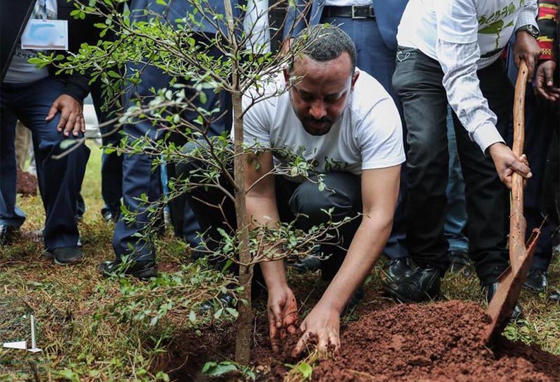எத்தியோப்பியாவில் 12 மணி நேரத்தில் 35 கோடி மரக்கன்றுகள் நட்டு உலக சாதனை 201907310347412760_World-record-of-35-million-saplings-planted-in-Ethiopia-in_SECVPF