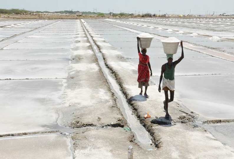 இயற்கையாக தயாராகும் உப்பால் மக்களுக்கு பாதிப்பு இல்லை எனக்கூறி அயோடின் கலந்த உப்பு விற்பனைக்கு எதிராக வழக்கு; ஐகோர்ட்டு டிவி‌ஷன் பெஞ்சுக்கு மாற்றி தனி நீதிபதி உத்தரவு