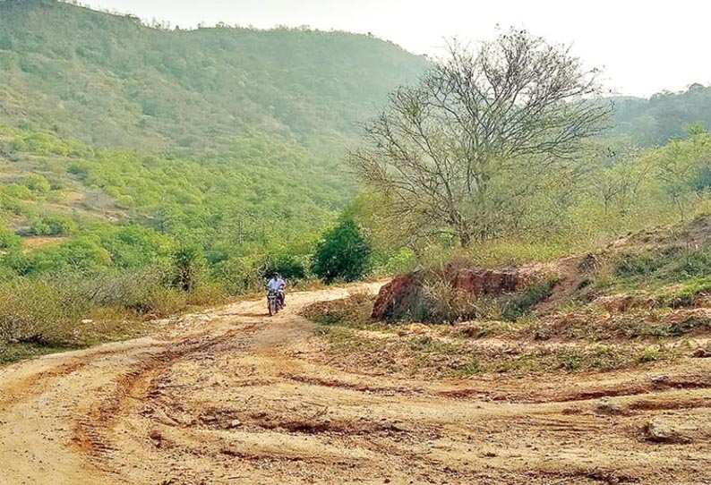 வருசநாடு அருகே, சாலை வசதியில்லாமல் கிராம மக்கள் அவதி