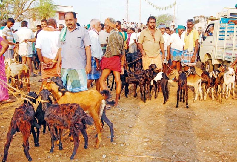 ரம்ஜான் பண்டிகை, கோவில் திருவிழாக்கள் எதிரொலி, கல்வார்பட்டி சந்தையில் ஆடுகள் வாங்க குவிந்த வியாபாரிகள்