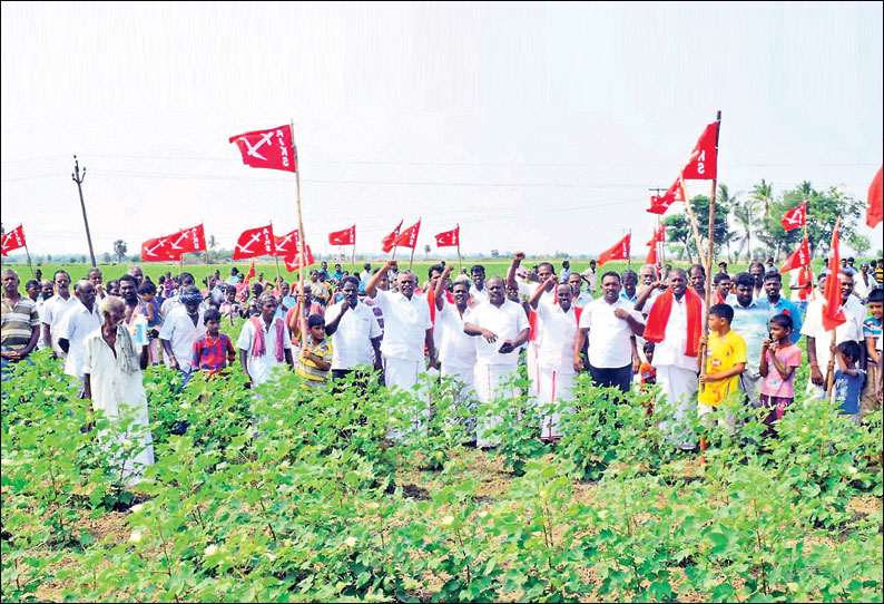 ஹைட்ரோ கார்பன் திட்டத்தை கைவிட வலியுறுத்தி வயலுக்குள் இறங்கி விவசாயிகள் போராட்டம்