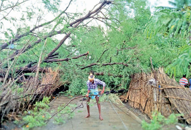 திருவள்ளூர் மாவட்டத்தில் சூறாவளி காற்றுடன் ஆலங்கட்டி மழை மரங்கள் முறிந்தன