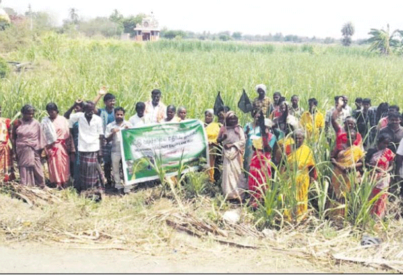 மத்திய அரசை கண்டித்து வயலில் இறங்கி விவசாயிகள் போராட்டம்