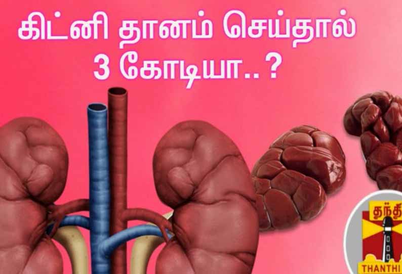 சிறுநீரகங்களுக்கு ரூ.3 கோடி தருவதாக 500 பேரிடம் மோசடி