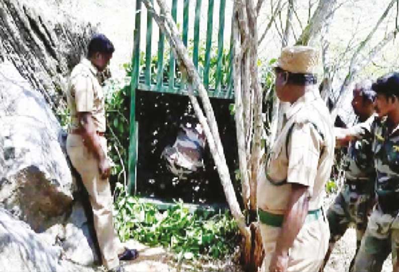 ஊருக்குள் புகுந்து கால்நடைகளை தாக்கும் சிறுத்தையை பிடிக்க கூண்டு; வனத்துறை நடவடிக்கை