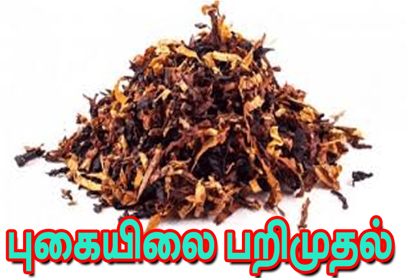 கோவில்பட்டி அருகே விபத்தில் சிக்கிய மினிலாரியில் ரூ.7 லட்சம் புகையிலை பொருட்கள் பறிமுதல் 2 வாலிபர்கள் கைது