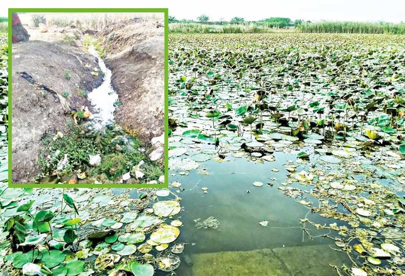 குழாய் உடைந்து வீணாகிய குடிநீரைக் கொண்டு ஊருணியை நிரப்பிய மக்கள்; 6 மாதமாக அலட்சியம் காட்டும் அதிகாரிகள்