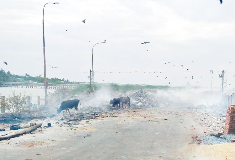 நகராட்சி குப்பை கிடங்கில் தீ: நாகூர் வெட்டாற்றில் புகைமூட்டதால் மக்கள் அவதி