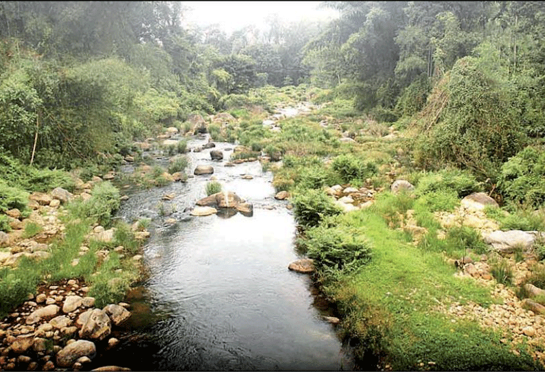 கூடலூர் பகுதியில் மழை இல்லாததால் நீர்நிலைகள் வறண்டன