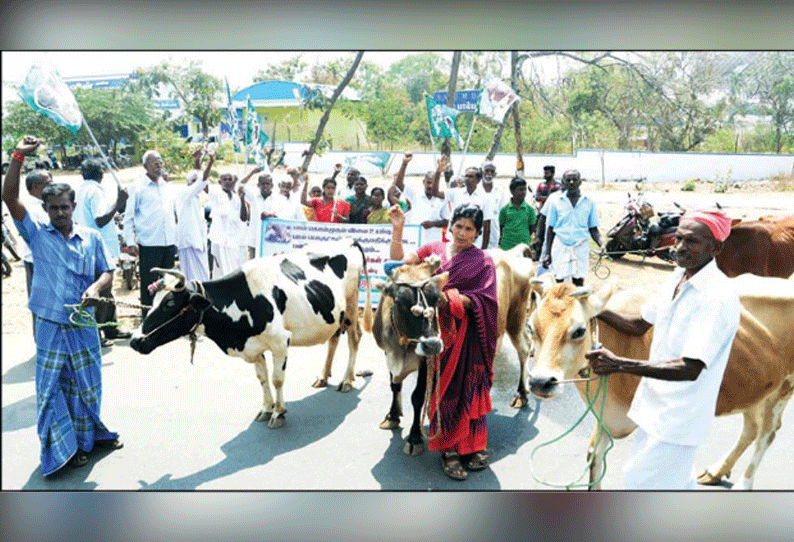 கொள்முதல் விலையை உயர்த்தக்கோரி மாடுகளுடன் வந்து பால் உற்பத்தியாளர்கள் சேலத்தில் ஆர்ப்பாட்டம்