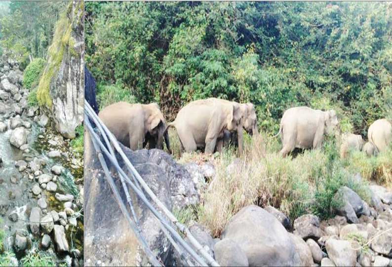 கூடலூரில் வறட்சியை தடுக்க சதுப்பு நிலங்கள் காக்கப்படுமா? சுற்றுச்சூழல் ஆர்வலர்கள் எதிர்பார்ப்பு