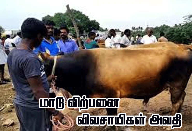 பறக்கும் படையின் கெடுபிடியால் சந்தையில் மாடுகளை விற்க முடியாமல் விவசாயிகள் அவதி