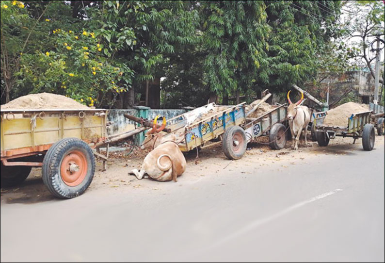 பாகூரில் மணல் கடத்திய 3 மாட்டு வண்டிகள் பறிமுதல்