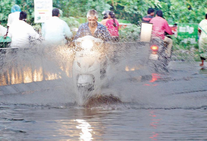 திருப்பூரில் இடியுடன் கூடிய பலத்த மழை; மரங்கள் முறிந்து விழுந்தது