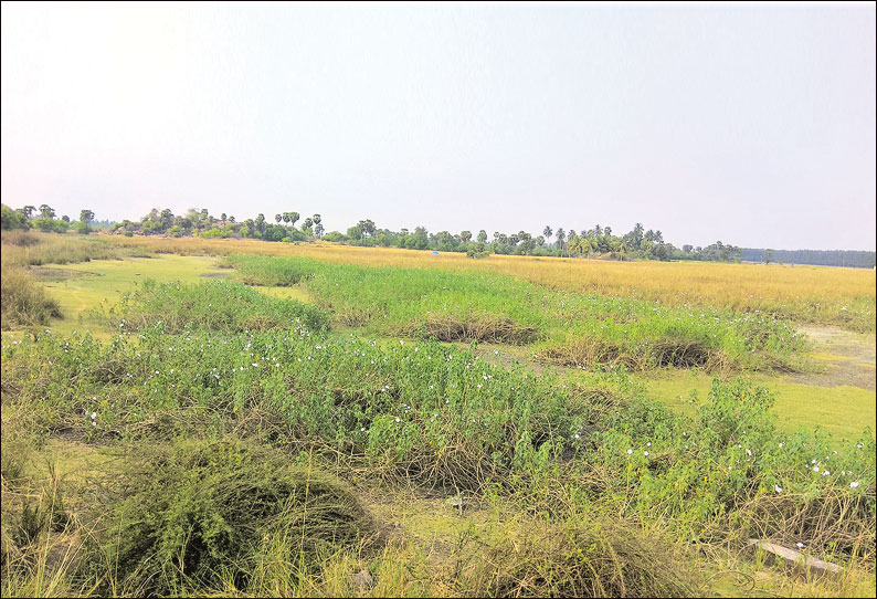 போந்தூர் ஏரியை தூர்வாரி மதகுகளை சீரமைக்க பொதுமக்கள் கோரிக்கை