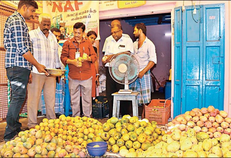விழுப்புரத்தில், ரசாயன கற்கள் மூலம் பழுக்க வைக்கப்பட்ட 1 டன் மாம்பழங்கள் பறிமுதல் - அதிகாரிகள் நடவடிக்கை